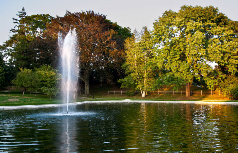 Wilcox Park, United States